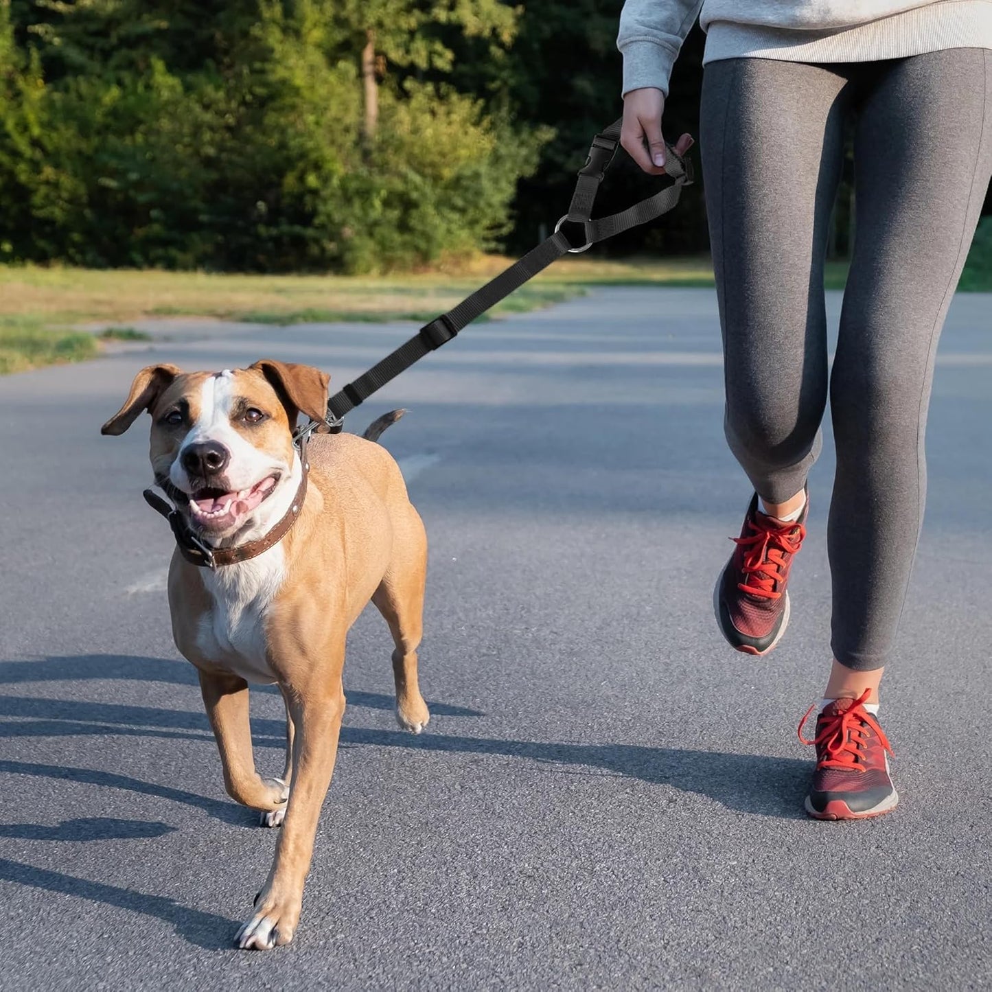 Çok Amaçlı Köpek Emniyet Kemeri, Ayarlanabilir Köpek Araba Tasması, Evcil Hayvan Tasması