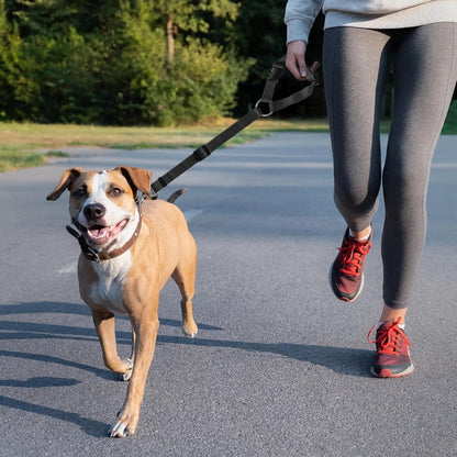 Çok Amaçlı Köpek Emniyet Kemeri, Ayarlanabilir Köpek Araba Tasması, Evcil Hayvan Tasması